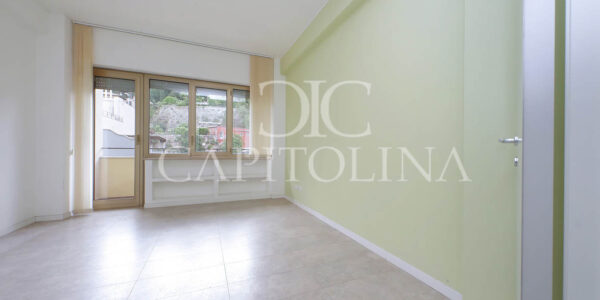 UFFICI FLAMINIO 110