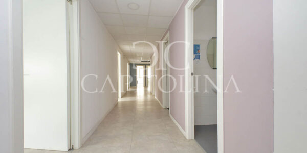 UFFICI FLAMINIO 118